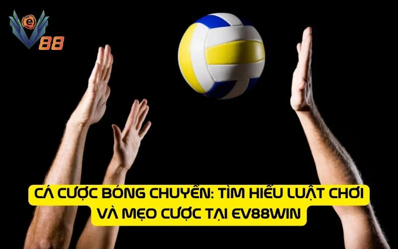 Cá cược bóng chuyền: Tìm hiểu luật chơi và mẹo cược tại EV88WIN